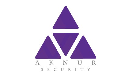 ТОО &laquo;AkNur Security&raquo; специализируется на оказании услуг по обеспечению информационной безопасности.