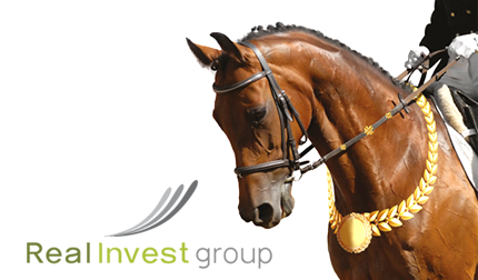 Real Invest group - инвестиционный холдинг, группа компаний работающих в разных областях.